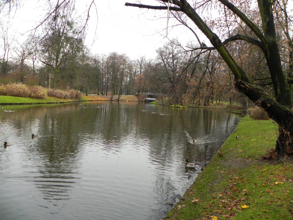 galeria/b101111/Benia_174.jpg