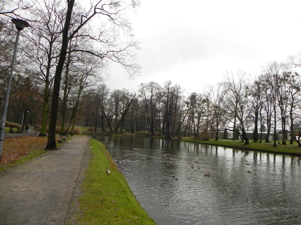 galeria/b101111/Benia_357.jpg