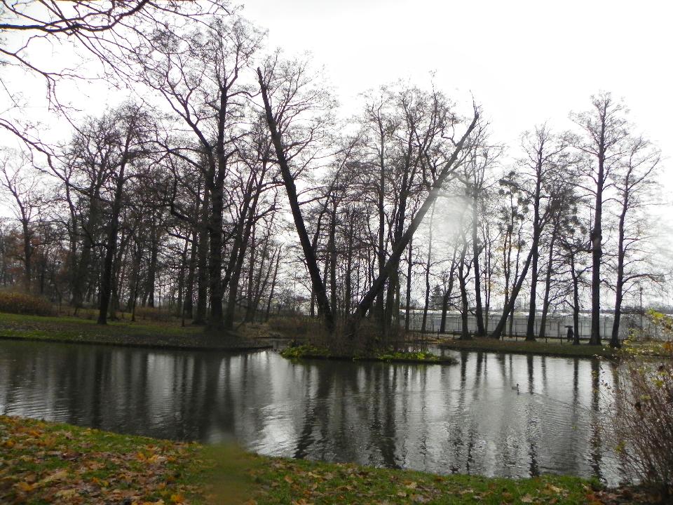 galeria/b101111/Benia_371.jpg