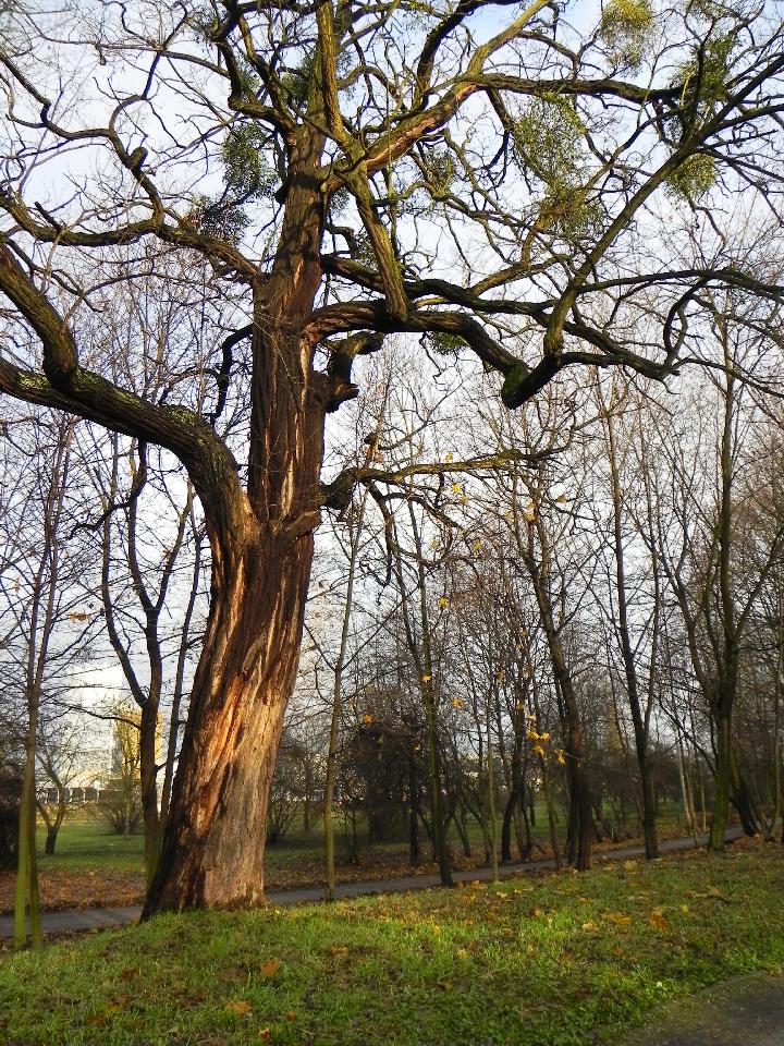galeria/b101111/Benia_564.jpg