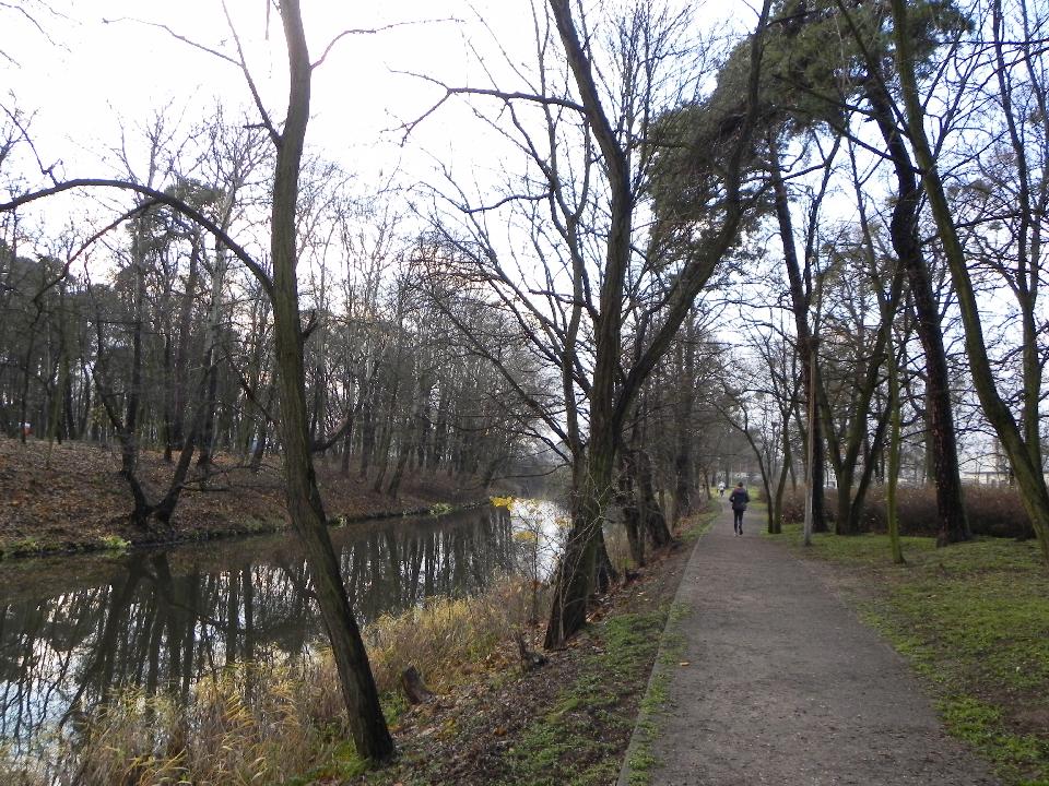 galeria/b101111/Benia_582.jpg