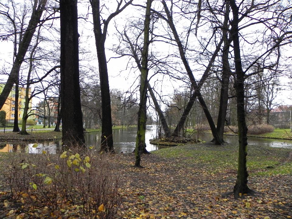 galeria/b101112/Benia_103.jpg