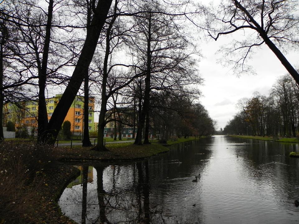 galeria/b101112/Benia_105.jpg