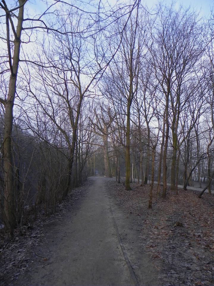galeria/b110213/Benia_166.jpg