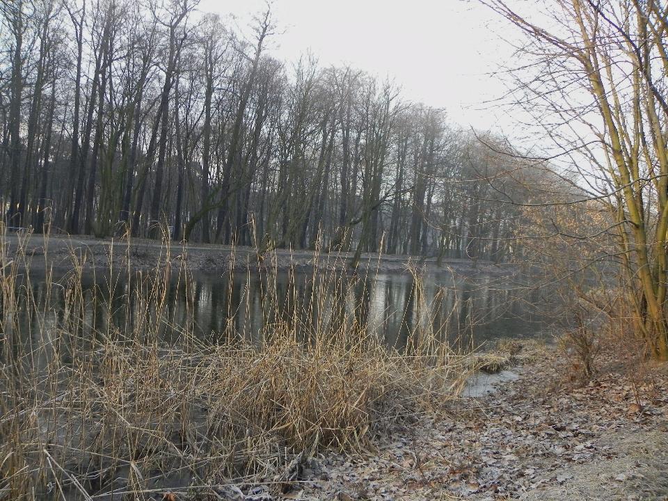galeria/b110213/Benia_167.jpg