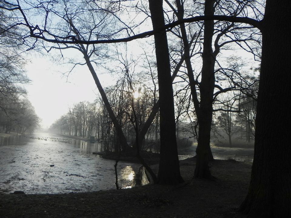 galeria/b110213/Benia_273.jpg
