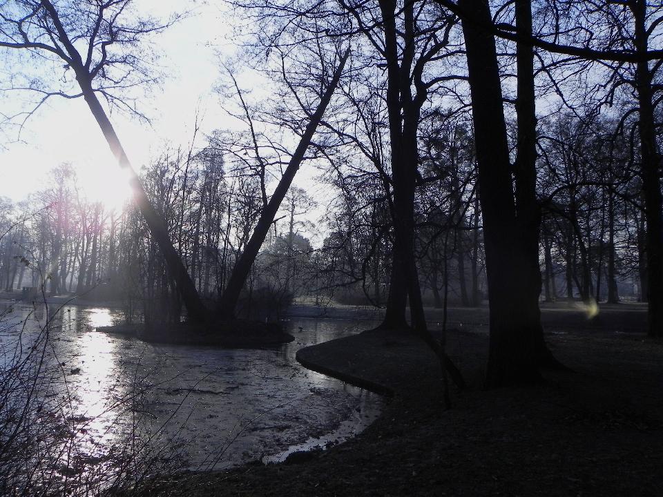 galeria/b110213/Benia_277.jpg