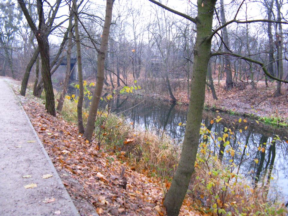 galeria/b111113/Benia_076.jpg