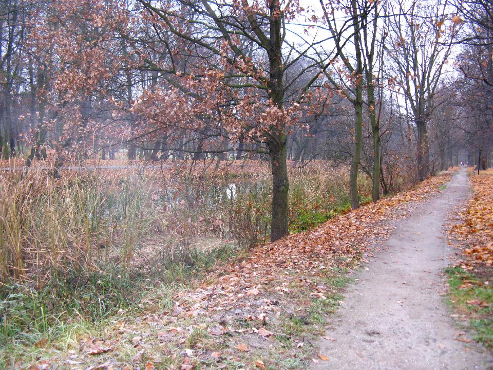 galeria/b111113/Benia_090.jpg