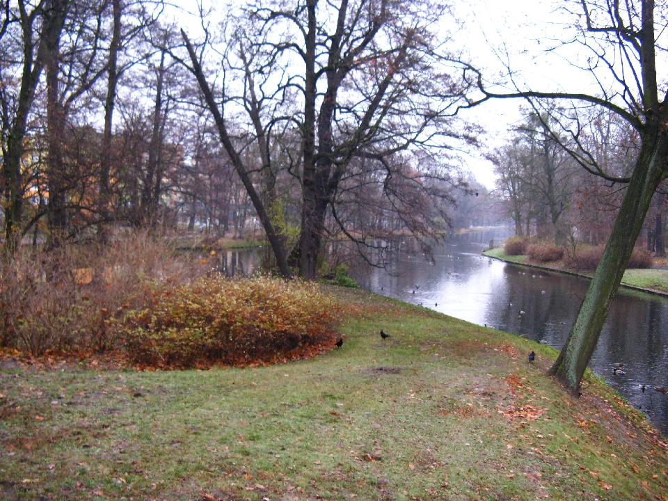 galeria/b111113/Benia_108.jpg