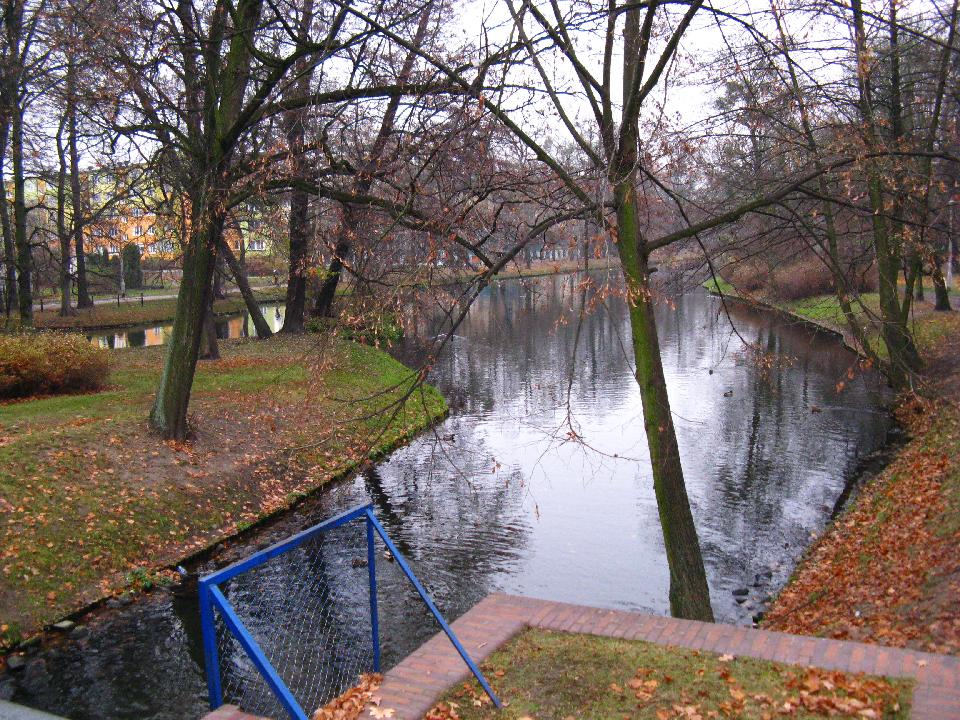 galeria/b111113/Benia_141.jpg
