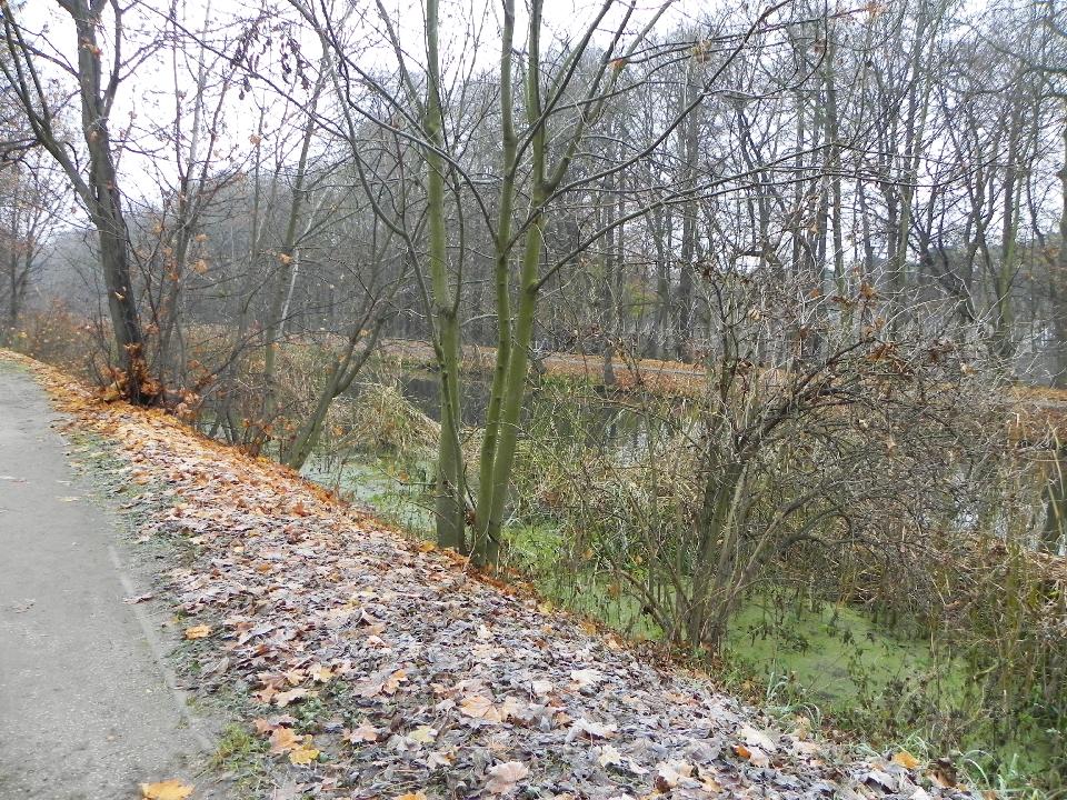 galeria/b111113/Benia_185.jpg