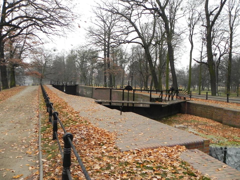 galeria/b111113/Benia_199.jpg