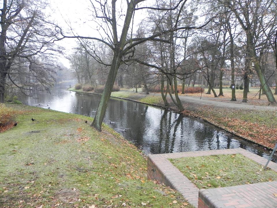 galeria/b111113/Benia_200.jpg