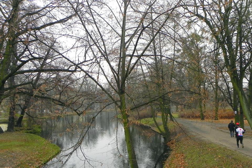 galeria/b111113/Benia_250.jpg