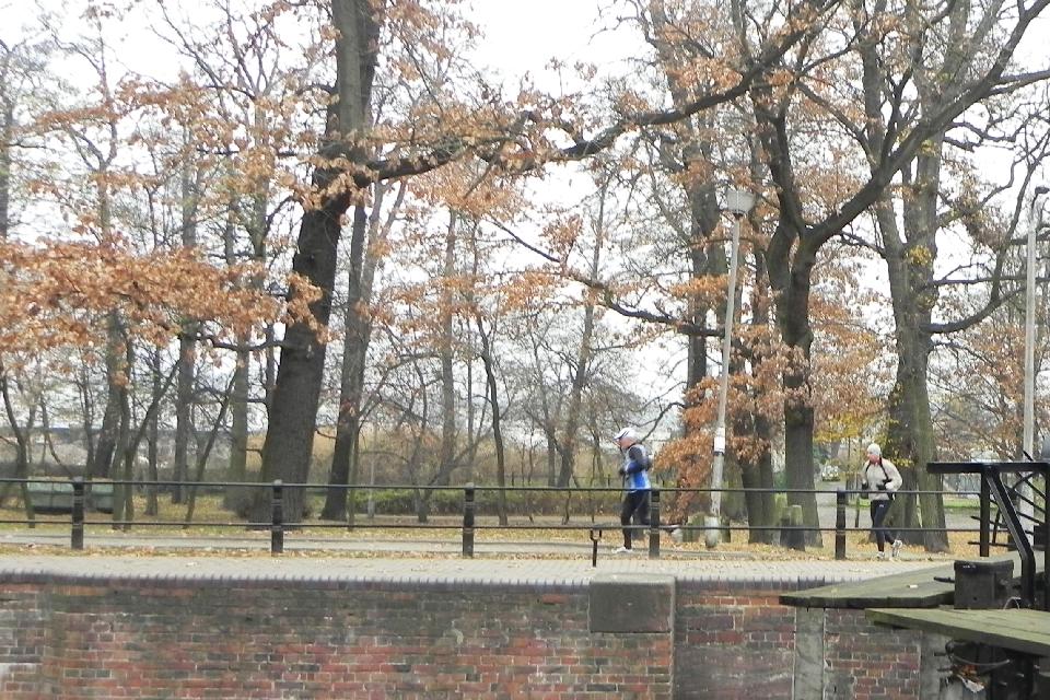 galeria/b111113/Benia_252.jpg