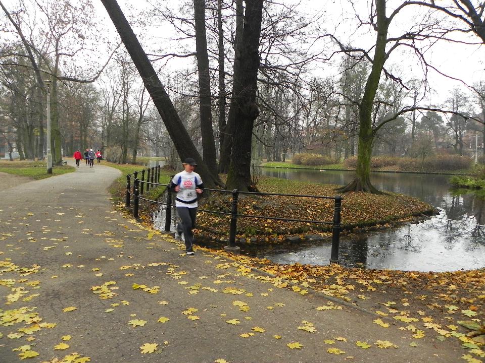 galeria/b111113/Benia_270.jpg
