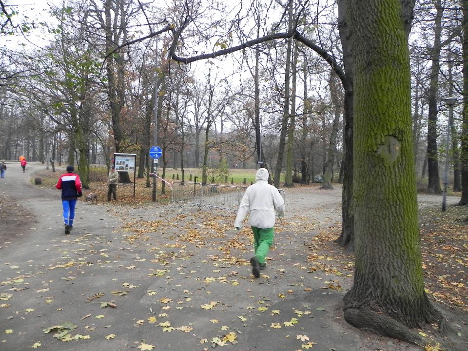 galeria/b111113/Benia_275.jpg