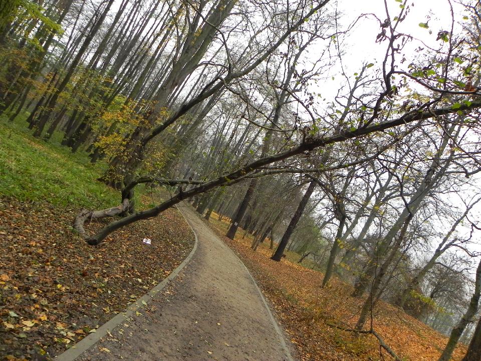 galeria/b111113/Benia_279.jpg