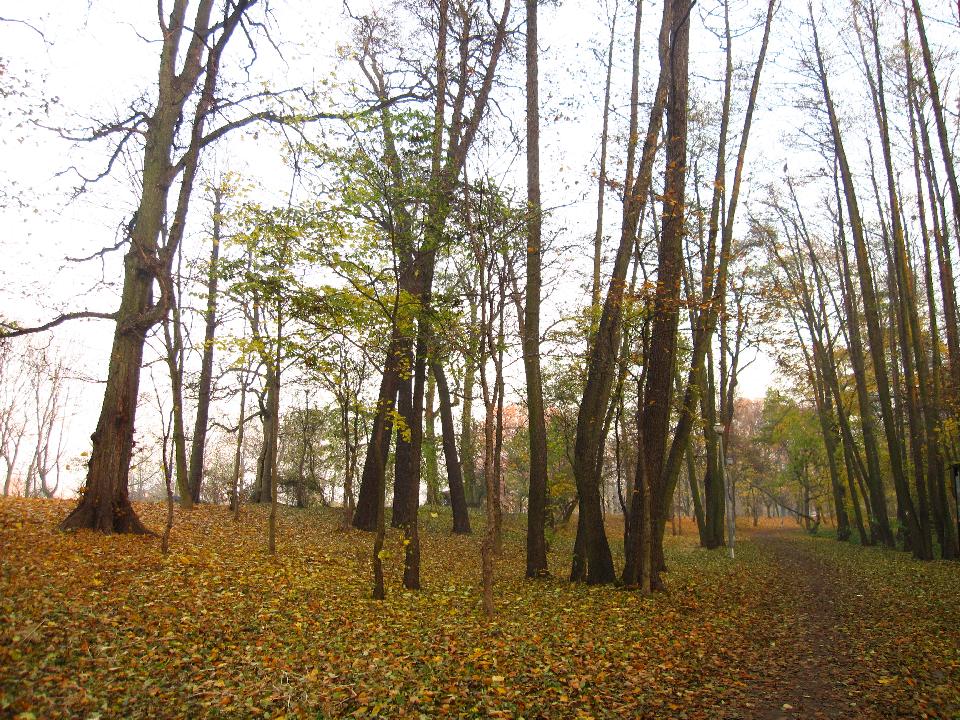 galeria/t111101/Trasa_011.jpg