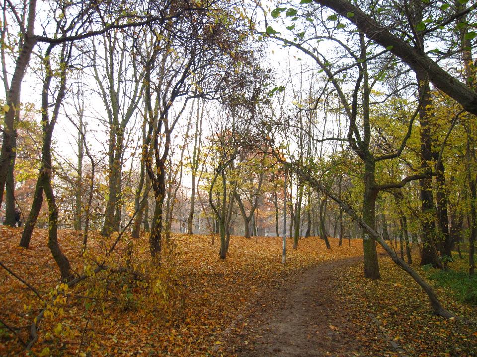 galeria/t111101/Trasa_013.jpg