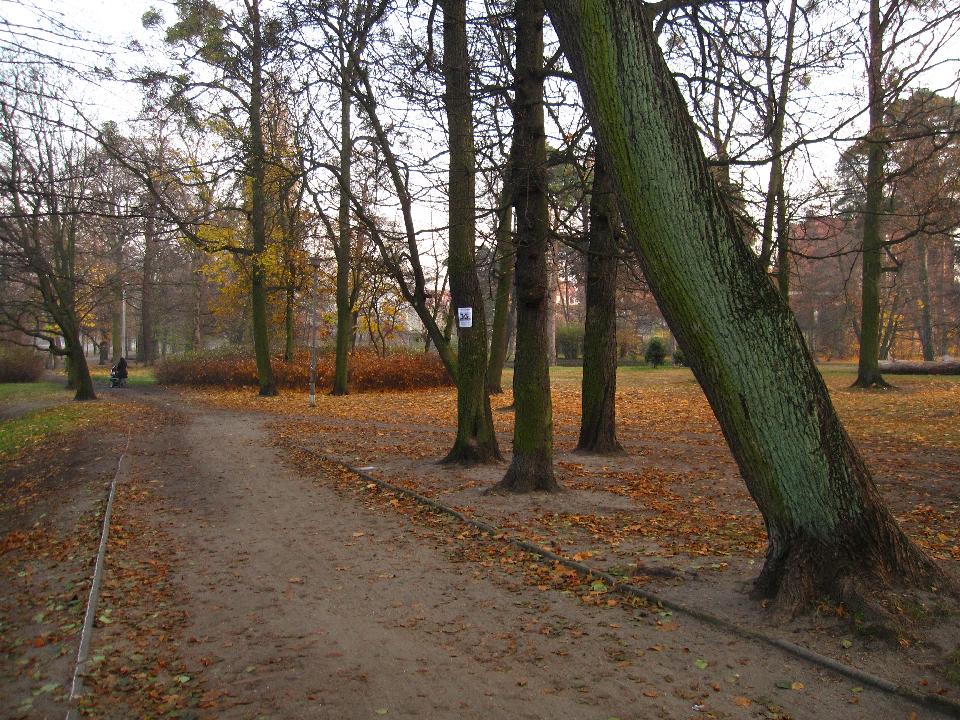 galeria/t111101/Trasa_025.jpg