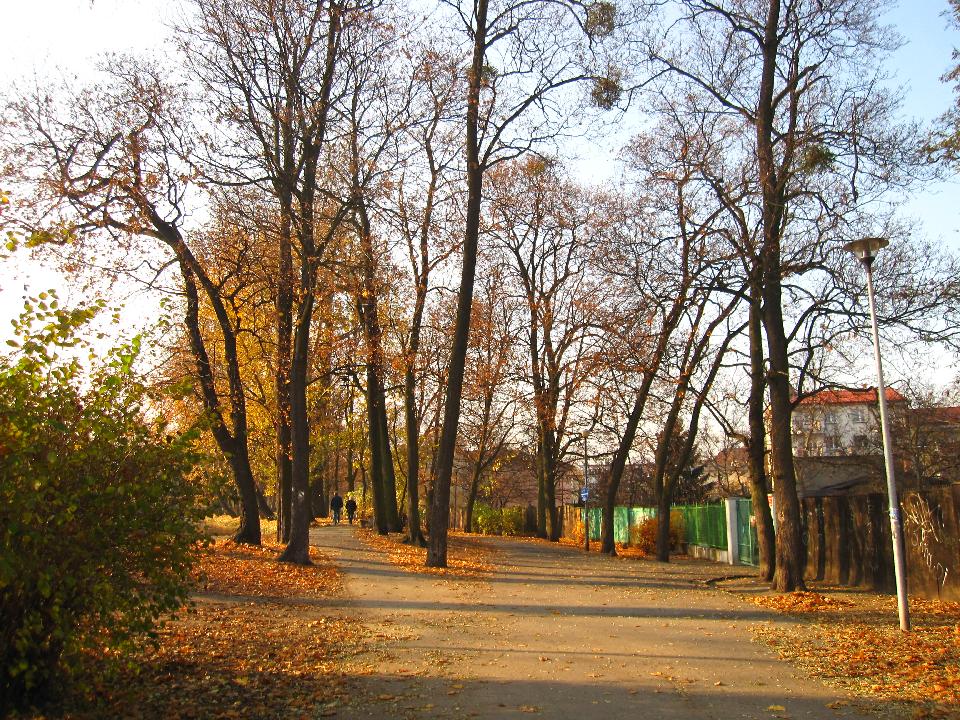galeria/t111101/Trasa_046.jpg