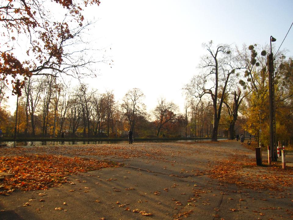 galeria/t111101/Trasa_052.jpg