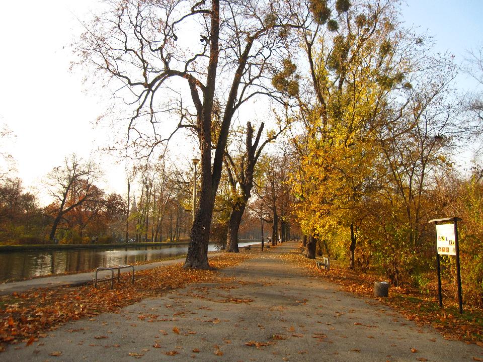 galeria/t111101/Trasa_053.jpg