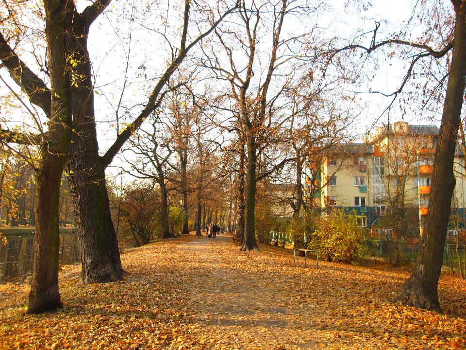 galeria/t111101/Trasa_063.jpg