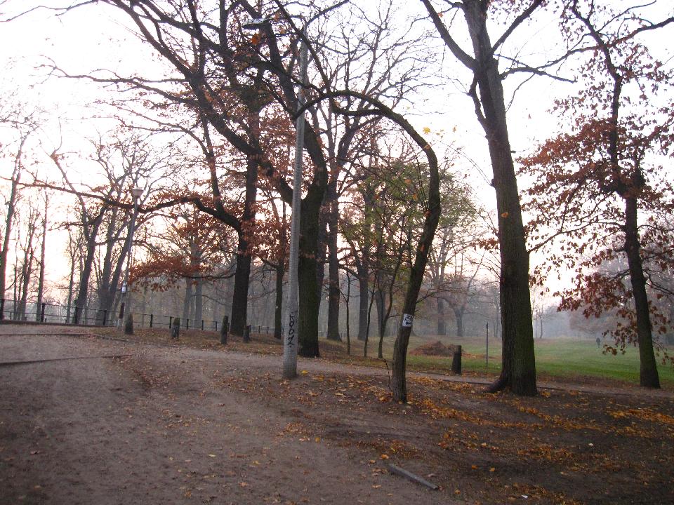 galeria/t111101/Trasa_072.jpg