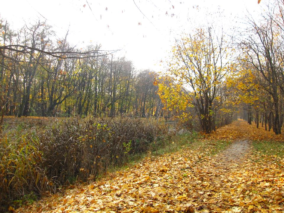 galeria/t111101/Trasa_086.jpg