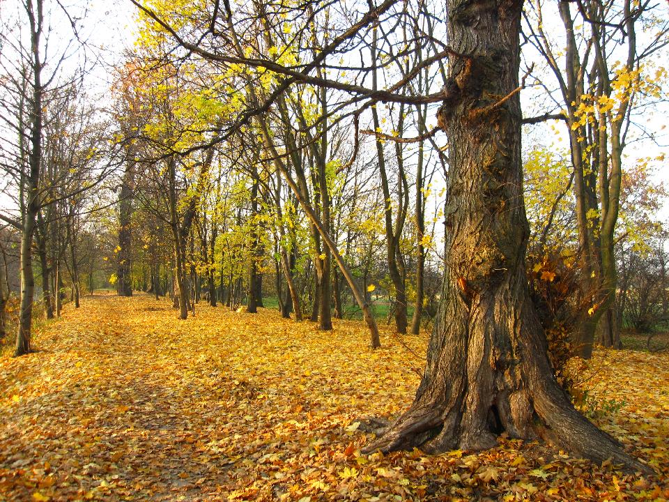galeria/t111101/Trasa_091.jpg