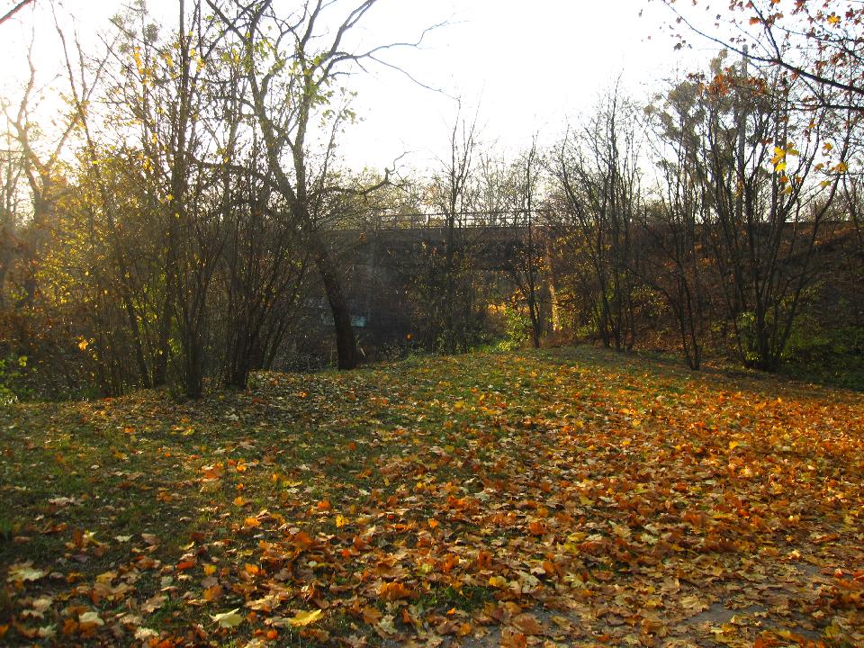 galeria/t111101/Trasa_094.jpg