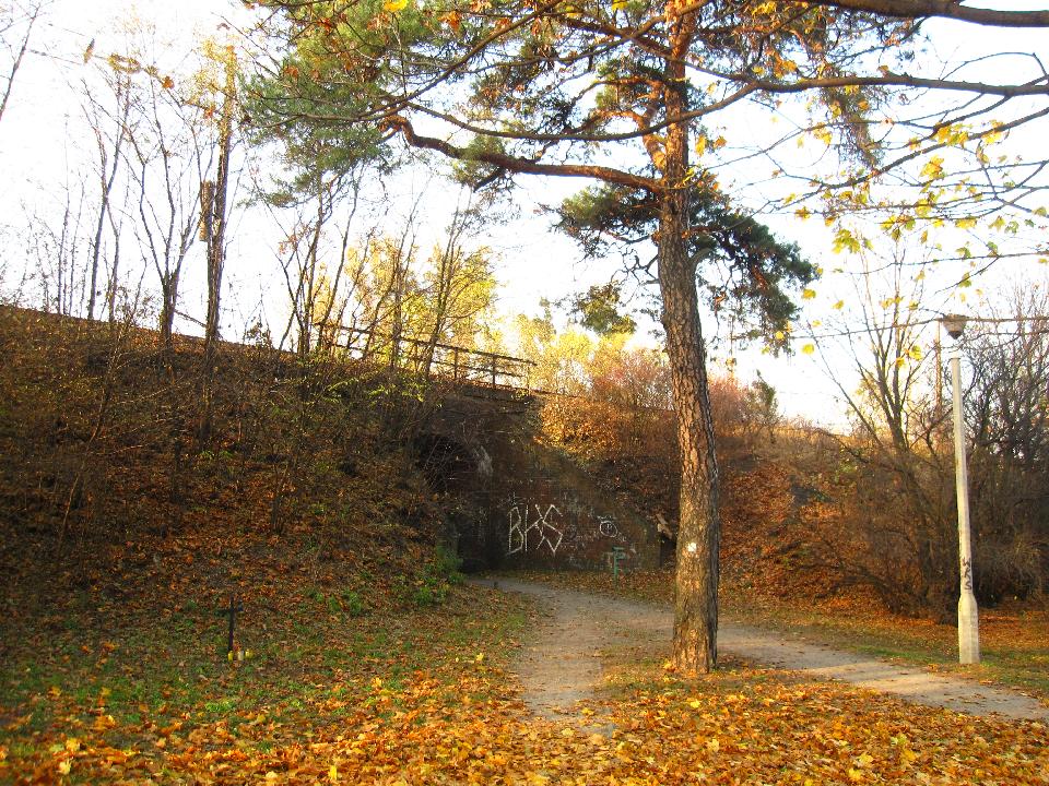 galeria/t111101/Trasa_095.jpg